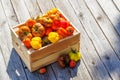 Assorted tomatoes in rustic crate