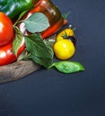 Assorted tomatoes and vegetables on dark background. Photo for your design