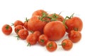 Assorted tomatoes on the vine and cherry tomatoes Royalty Free Stock Photo