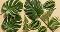 Assorted tropical leaves are arranged on a beige background. The composition Royalty Free Stock Photo
