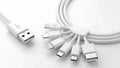 Assorted usb cables featuring various connectors including lightning and micro usb Royalty Free Stock Photo
