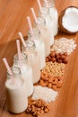 Assorted vegan milk and ingredients