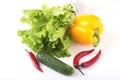 Assorted vegetables, fresh bell pepper, tomato, chilli pepper, cucumber and lettuce on white background Royalty Free Stock Photo