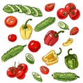 Assorted of vegetables. Red, green and yellow tomatoes, cucumbers and peppers isolated on white background. Whole and sliced objec Royalty Free Stock Photo