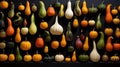 Assorted vibrant gourds in a display