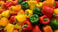 Assorted vibrant peppers in an appealing arrangement