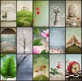 Assorted vintage backgrounds Royalty Free Stock Photo