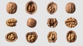 Assorted Walnuts Collection on Transparent Background Royalty Free Stock Photo