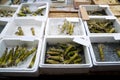 Assorted wasabi roots on sale at the market