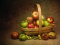 Windfall apples, collected in trug, still life composition.