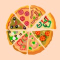 Assorti Pizza Slices Color Vector Illustration