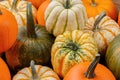 Assortiment of pumpkins background Royalty Free Stock Photo