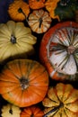 Assortiment of pumpkins background Royalty Free Stock Photo