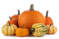 Assortiment of pumpkins on white Royalty Free Stock Photo