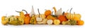 Assortiment of pumpkins on white Royalty Free Stock Photo