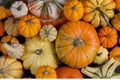 Assortiment of pumpkins background Royalty Free Stock Photo