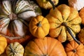 Assortiment of pumpkins background Royalty Free Stock Photo