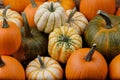 Assortiment of pumpkins background Royalty Free Stock Photo