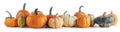 Assortiment of pumpkins on white