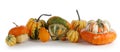 Assortiment of pumpkins on white