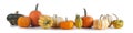 Assortiment of pumpkins on white