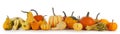 Assortiment of pumpkins on white Royalty Free Stock Photo