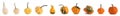 Assortiment of pumpkins on white