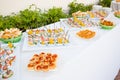 Assortment Appetizers and finger food