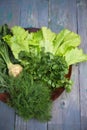 Assortment of aromatic herbs on a wooden plate, top view