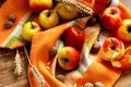 Assortment of Autumn Apples Royalty Free Stock Photo