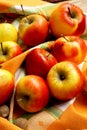 Assortment of Autumn Apples Royalty Free Stock Photo