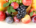 Assortment autumn harvest fruit