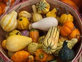 Assortment of Autumn Squash in a Bushel Basket