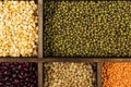 Assortment of beans red lentil, green lentil, chickpea, peas, r Royalty Free Stock Photo