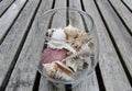 Assortment of beautiful shells in a glass jar