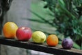 Assortment of biological, fresh, seasonal fruit.