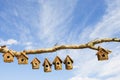 An assortment of Bird boxes