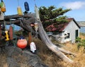 Floats on a tree by Battery Point Lighthouse.