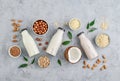 Assortment of  bottles with vegan milk Royalty Free Stock Photo