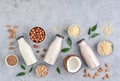 Assortment of  bottles with vegan milk Royalty Free Stock Photo