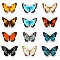 Hyperrealistic Vector Illustrations Of Multicolored Butterflies