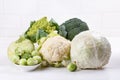 Assortment cabbages - romanesco, white cabbage, broccoli, cauliflower, brussels sprouts, kohlrabi. Vegetables on white table