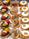 Assortment of canapes toasts for aperitif Royalty Free Stock Photo