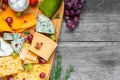 Assortment cheeses on wooden cutting board. Cheese plate served with grape fruits, tomatoes and rosemary, various cheese Royalty Free Stock Photo