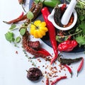 Assortment of chili peppers and herbs Royalty Free Stock Photo