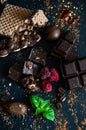 Assortment of chocolate bars, spices and cocoa powder Royalty Free Stock Photo