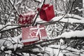 Assortment of christmas gifts placed on tree branches covered in snow.