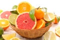 Citrus fruit with lemon, orange,grapefruit,lime Royalty Free Stock Photo