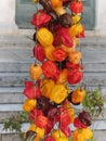 Assortment of colorful chilli peppers hanging outdoor