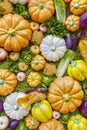 Assortment of fresh fruits and vegetables Royalty Free Stock Photo